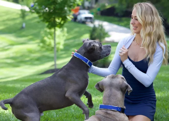 Brittany Mahomes: How Hiring a Professional Dog Trainer Transformed Our Lives